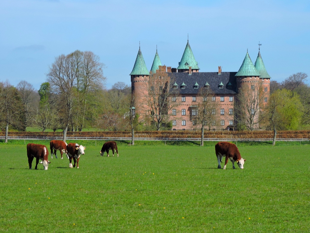  Swedish countryside 