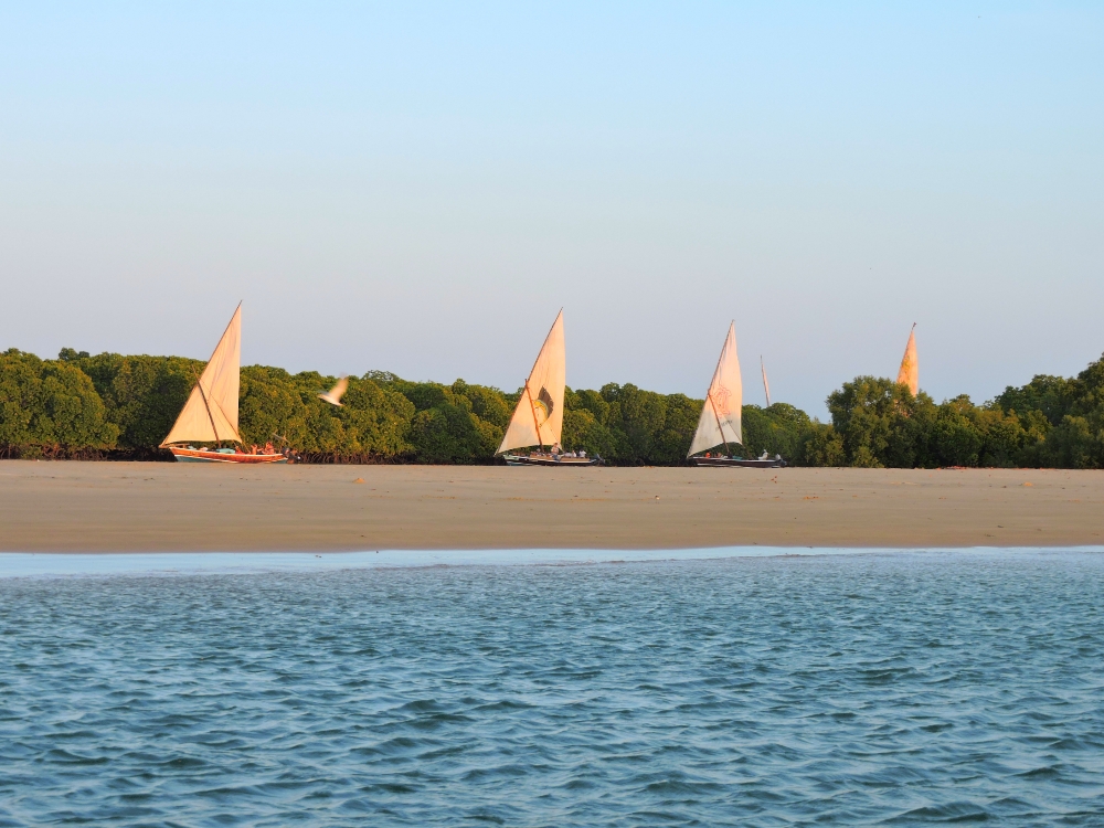 Dhows Dhows