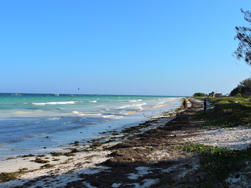  Diani Beach 