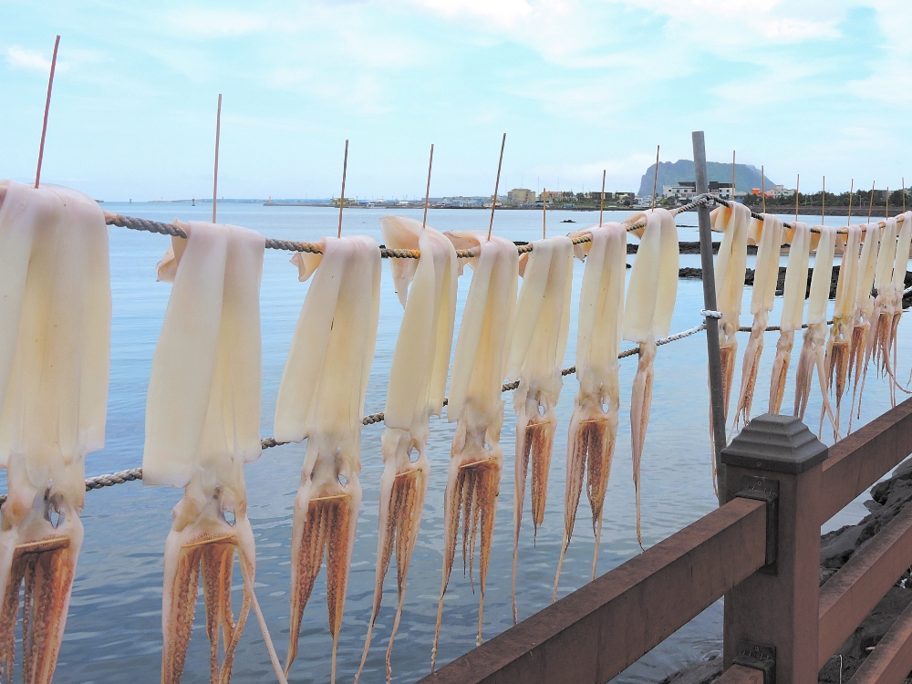  Drying squid 