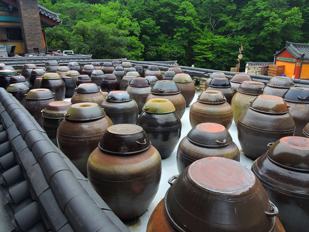  Kimchi pots 