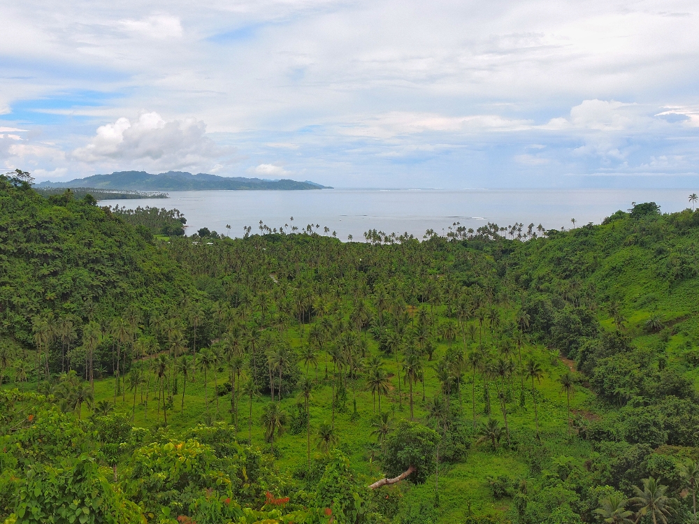  Taveuni environment 