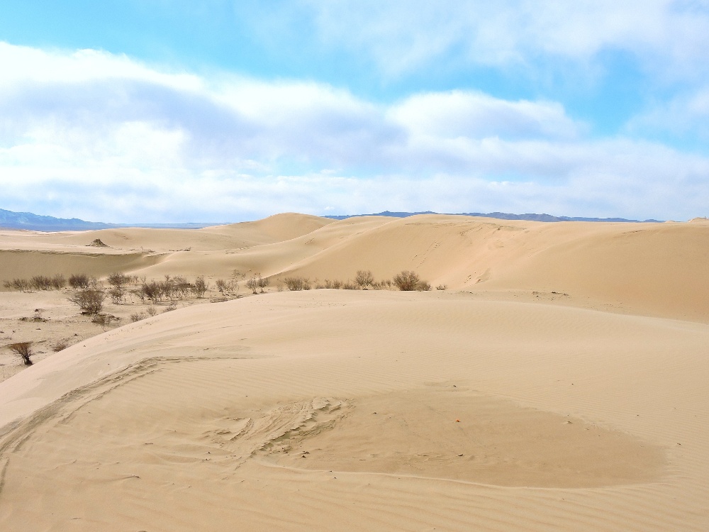 Sand Dunes Sand Dunes