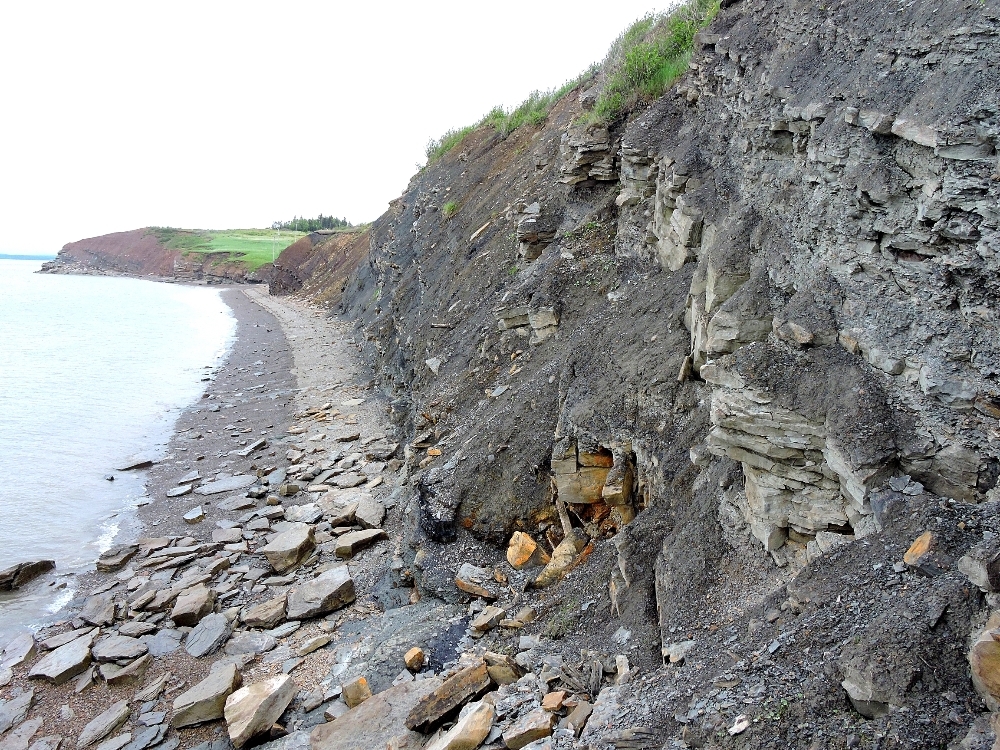 Cliffs at Joggins Cliffs at Joggins