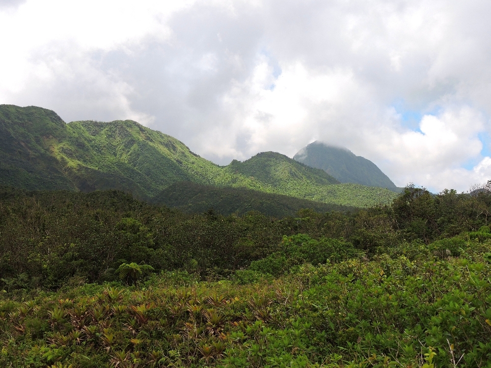 Morne Trois Pitons