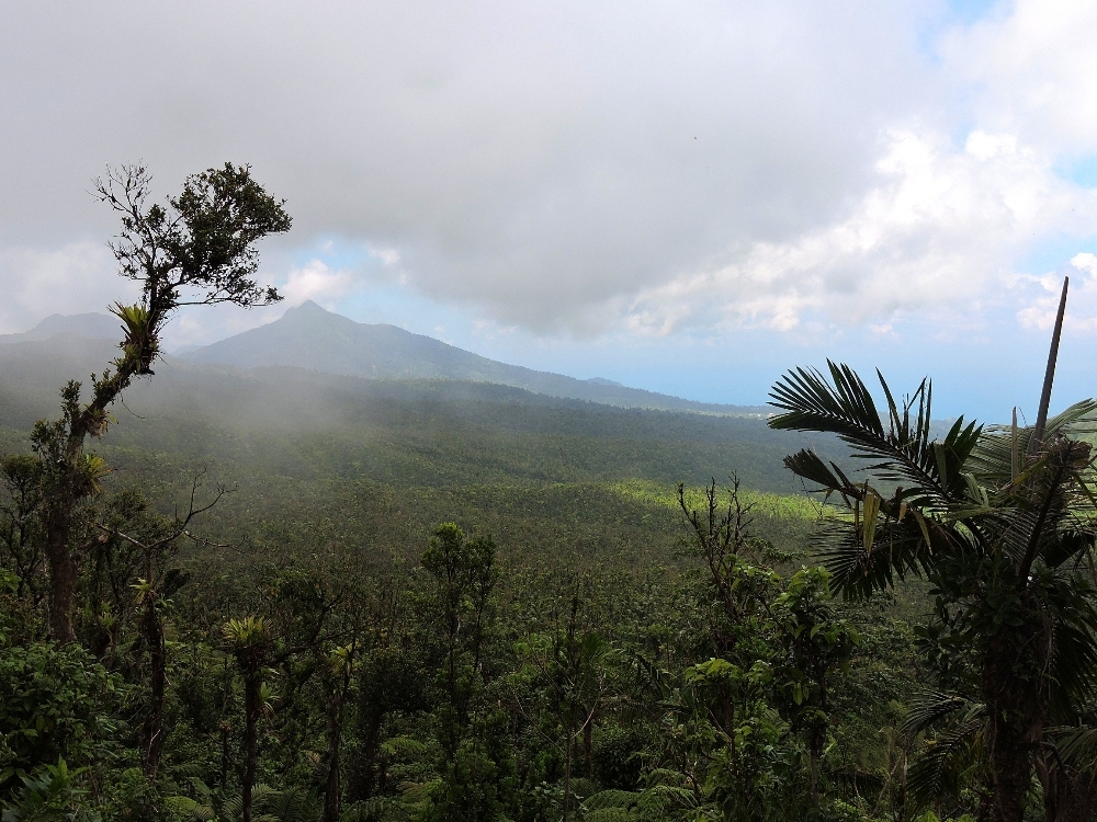 Morne Trois Pitons