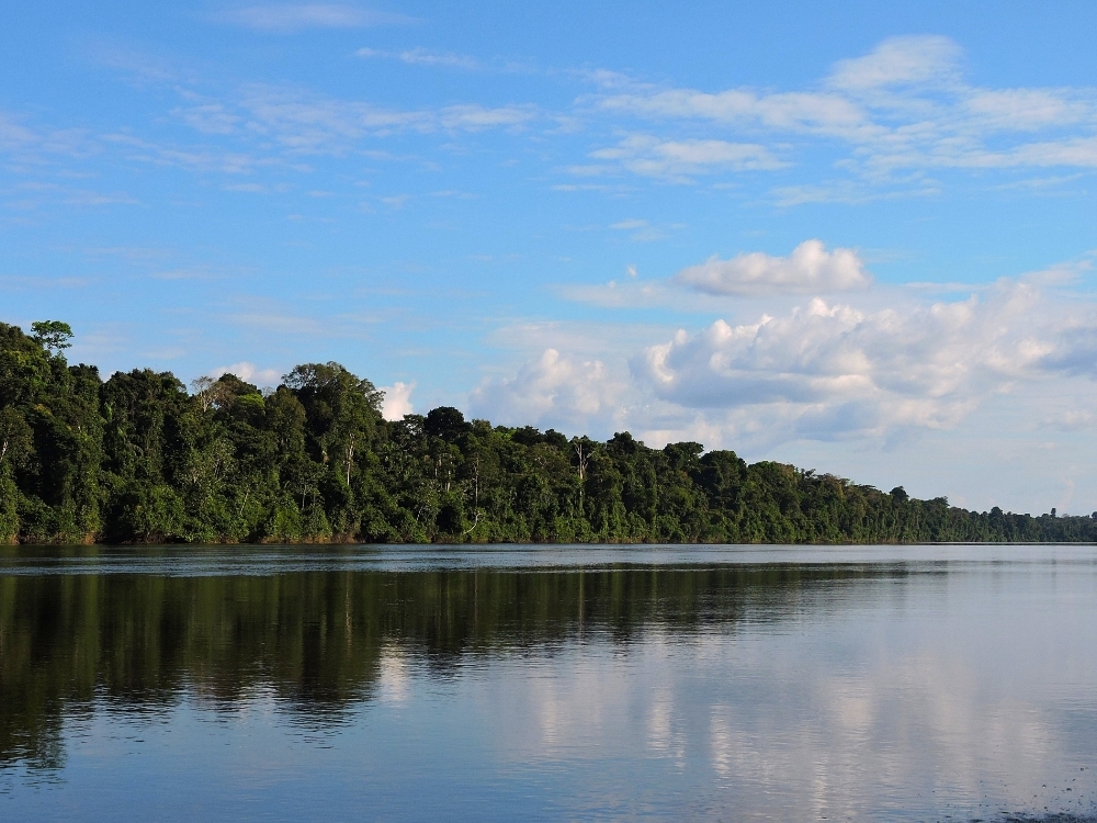 Central Suriname Nature Reserve