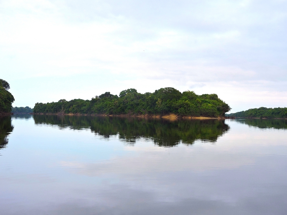 Anavilhanas archipelago Anavilhanas archipelago
