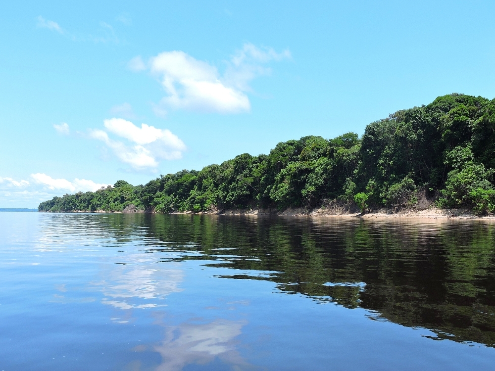 Parque Nacional Anavilhanas