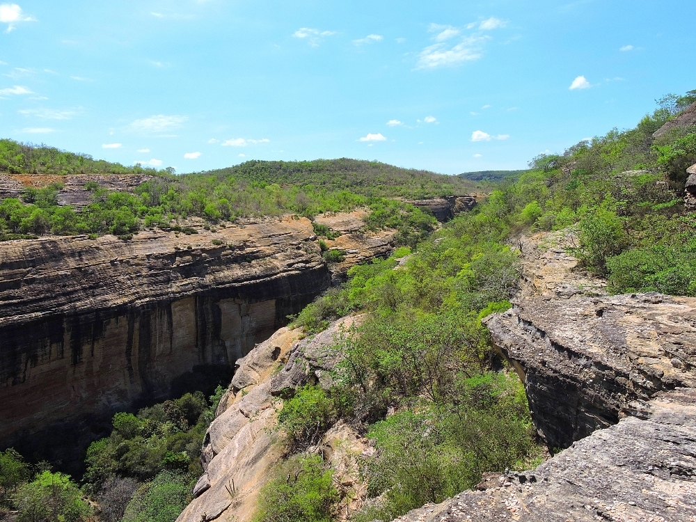 Serra da Capivara landforms Serra da Capivara landforms