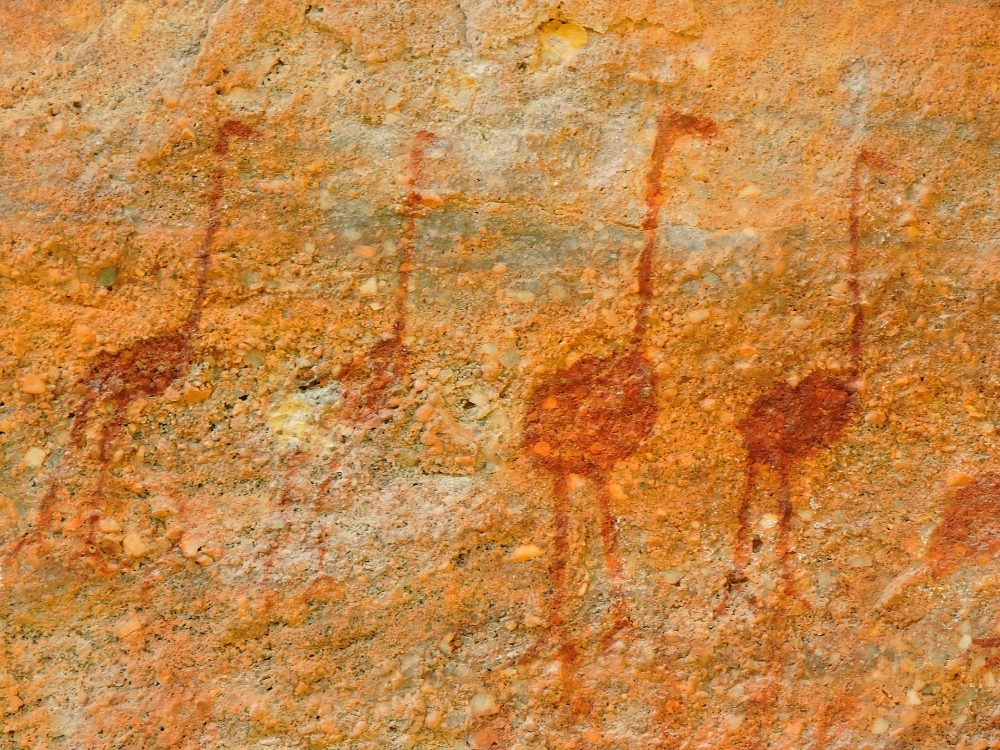Pictograph of rheas Pictograph of rheas