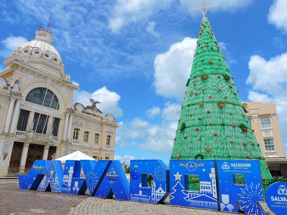 Festive Salvador Festive Salvador