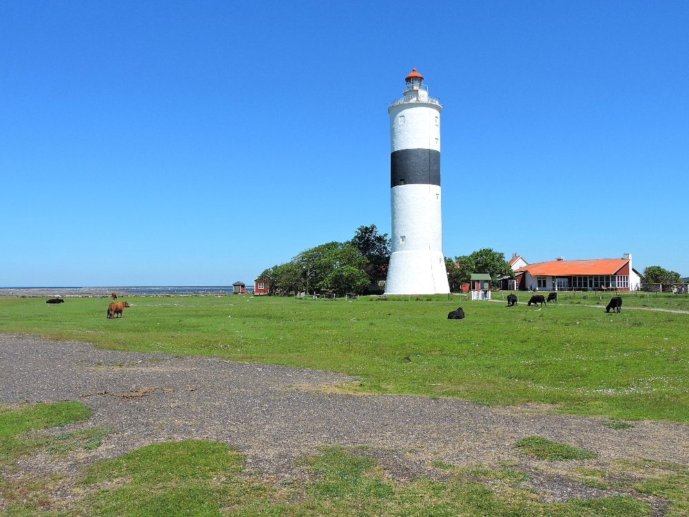  Lighthouse 