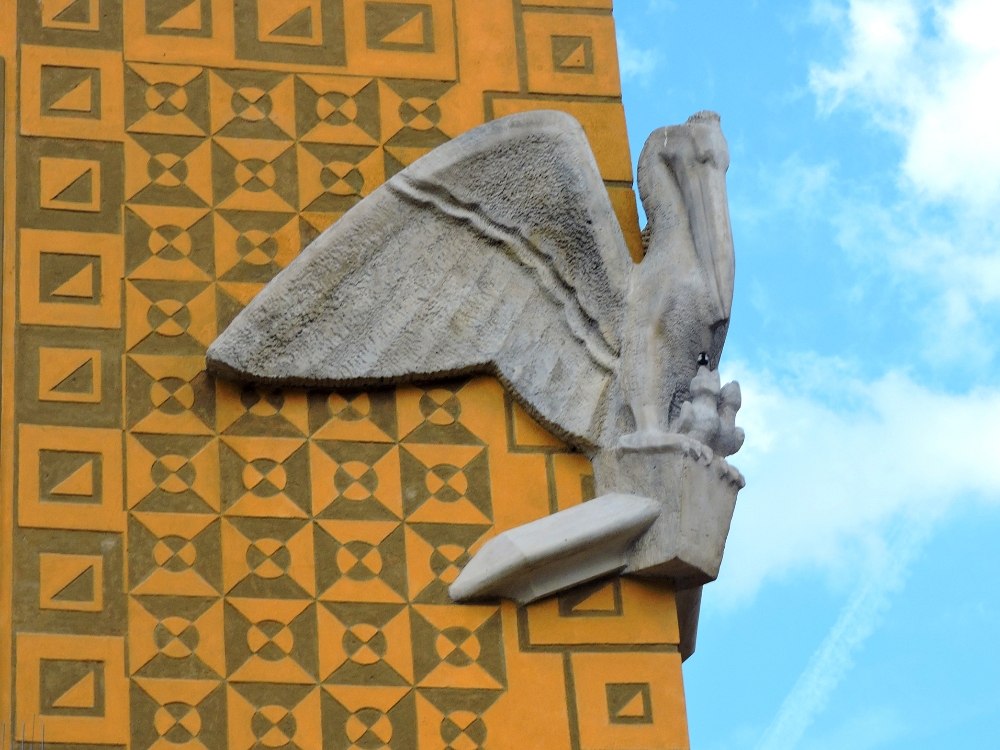 Pelican on building Pelican on building
