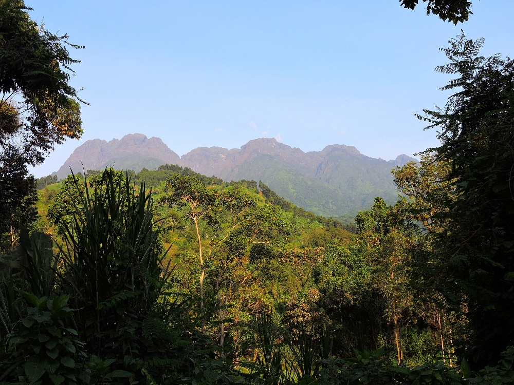  Rwenzori Mountains 