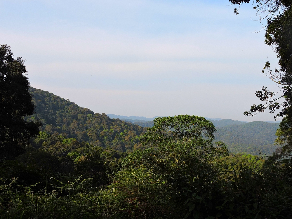  Bwindi Impenetrable National Park