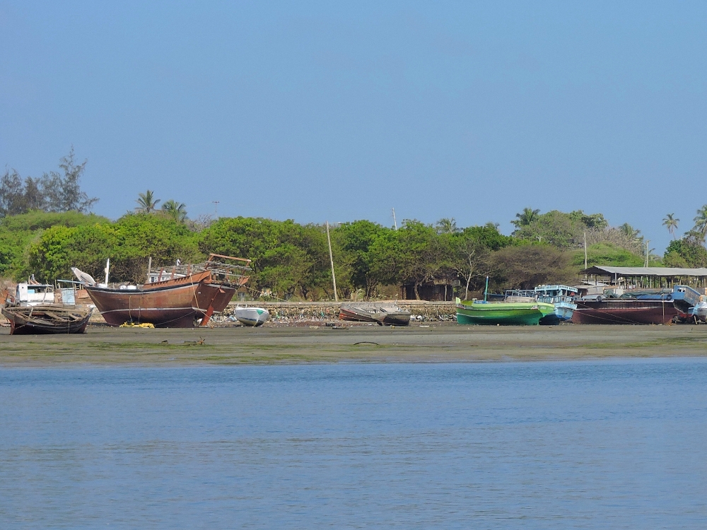  Boats at Lamu 