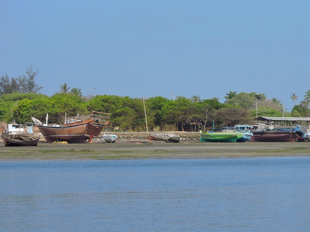 Boats at Lamu Boats at Lamu