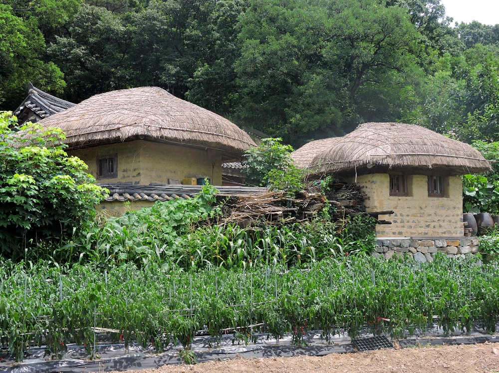 Yangdong homes Yangdong homes