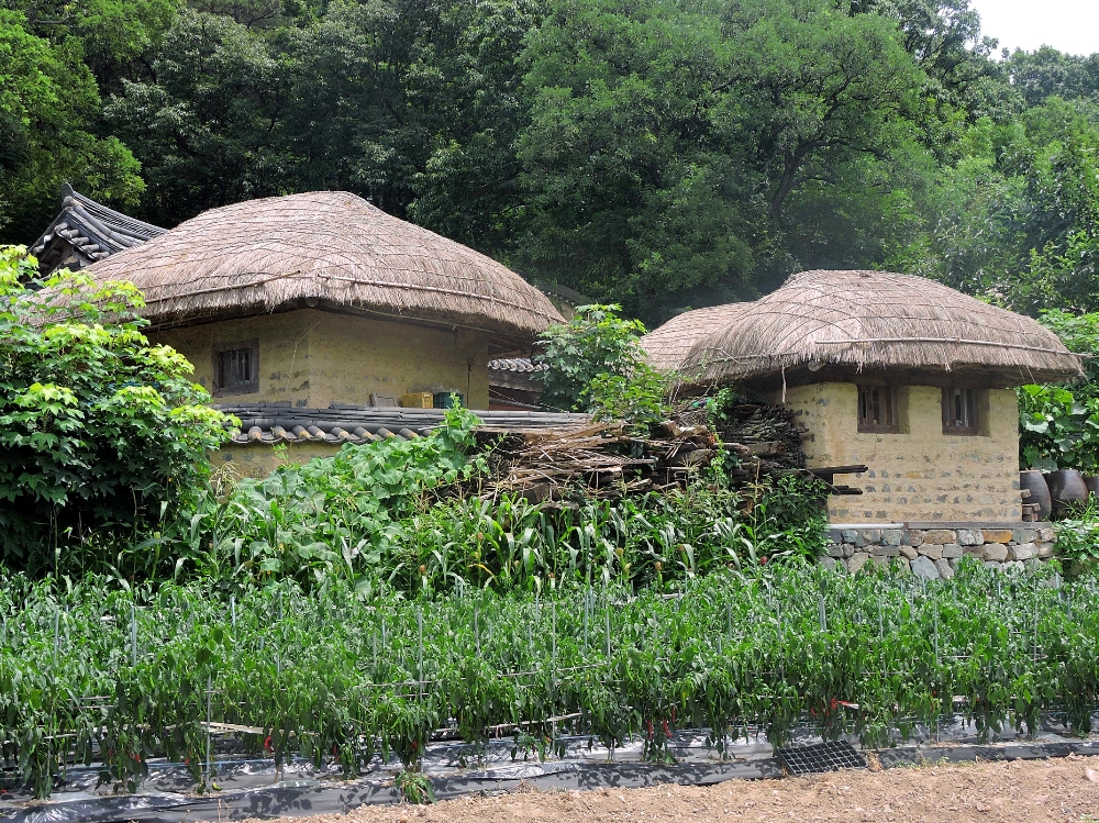  Yangdong homes