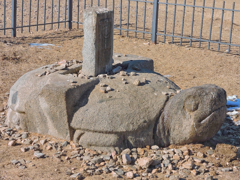  Karakorum Turtle 